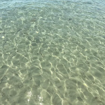 Poolside In The Pines, Steps From The Sea 몰라 칼리바
